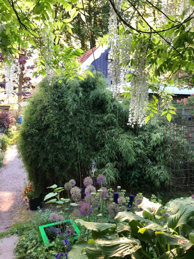 Bed and Breakfast Beemster Tiny House Зюйдостбемстер Экстерьер фото