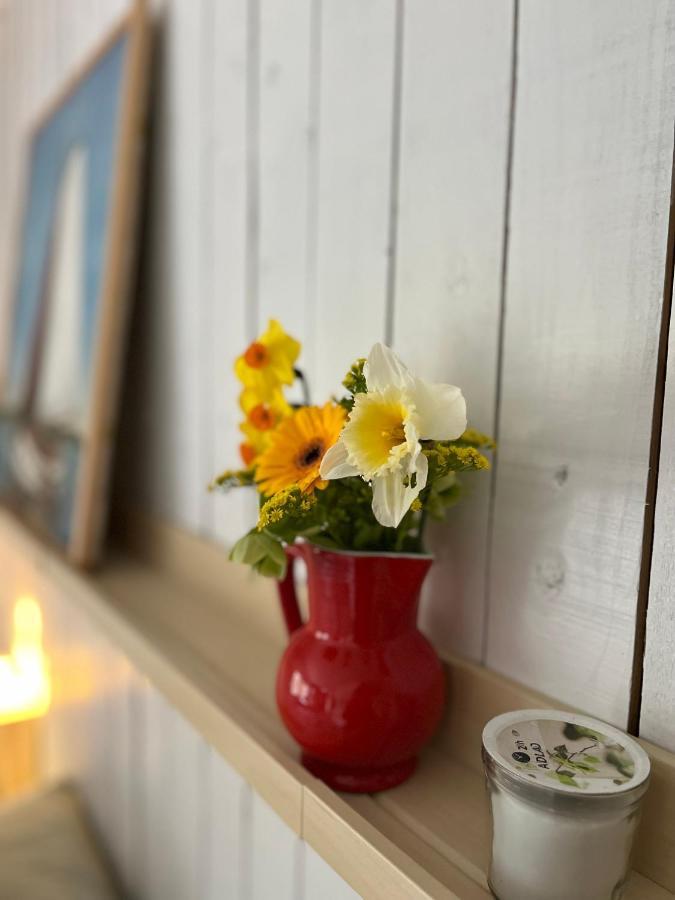 Bed and Breakfast Beemster Tiny House Зюйдостбемстер Экстерьер фото